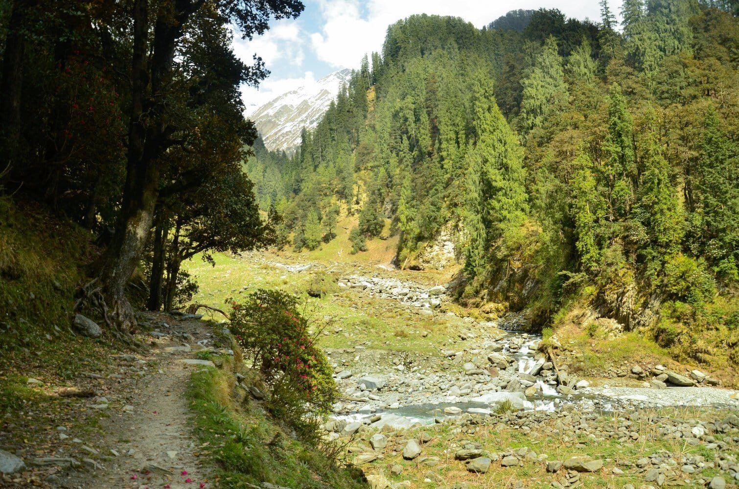 Thamsar Pass Trek - HIMTREK 2024