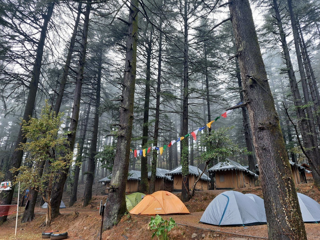 McLeodGanj Triund Trek