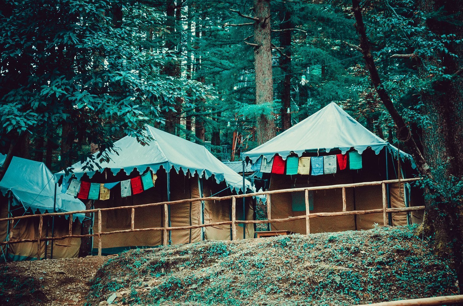 DAY 1: Arrive at our Dharamkot Campsite