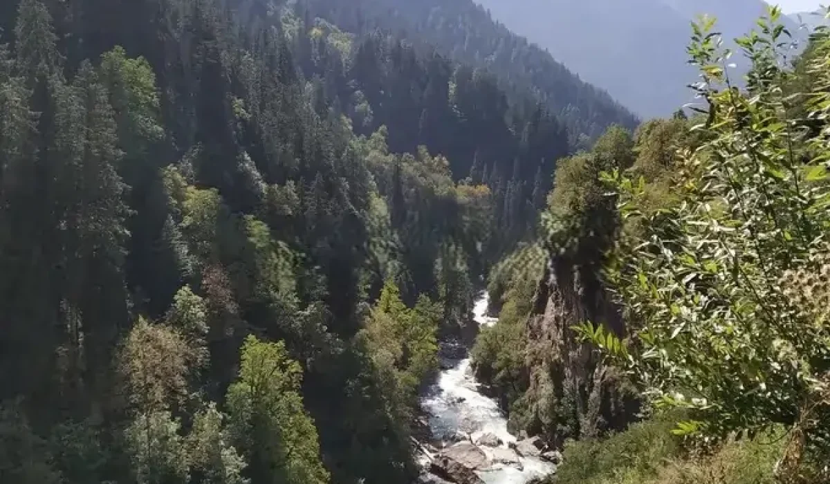 kasol-view-somewhere-kheerganga-photo-was-taken-me-i-my-trek-himachal-pradesh-indian