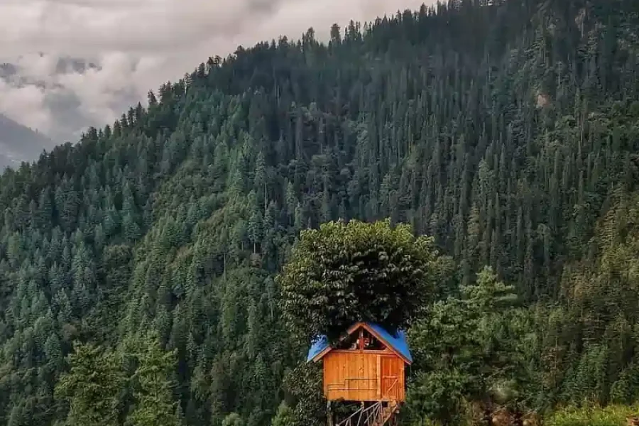 Jibhi Himachal Pradesh, jibhi tirthan valley tour package
