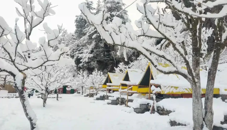 Camping in Manali in winters, New Year Treks
