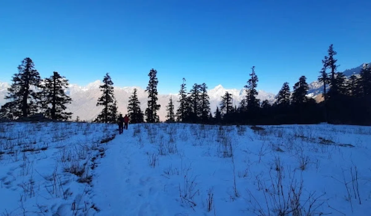 Kuari Pass Trek: Best time to visit and Complete Travel Guide