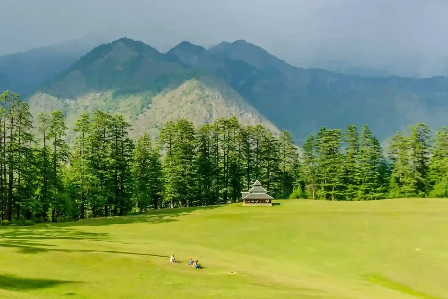 Shangarh Meadows Shangarh Trip