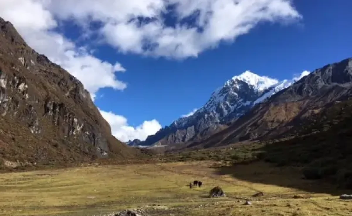 Thangsing, Goechala Trek
