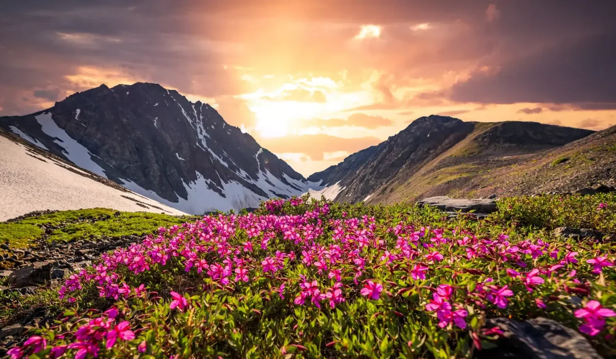 Valley Of Flowers Trek 2,Best Summer Treks in India,Valley Of Flowers Trek