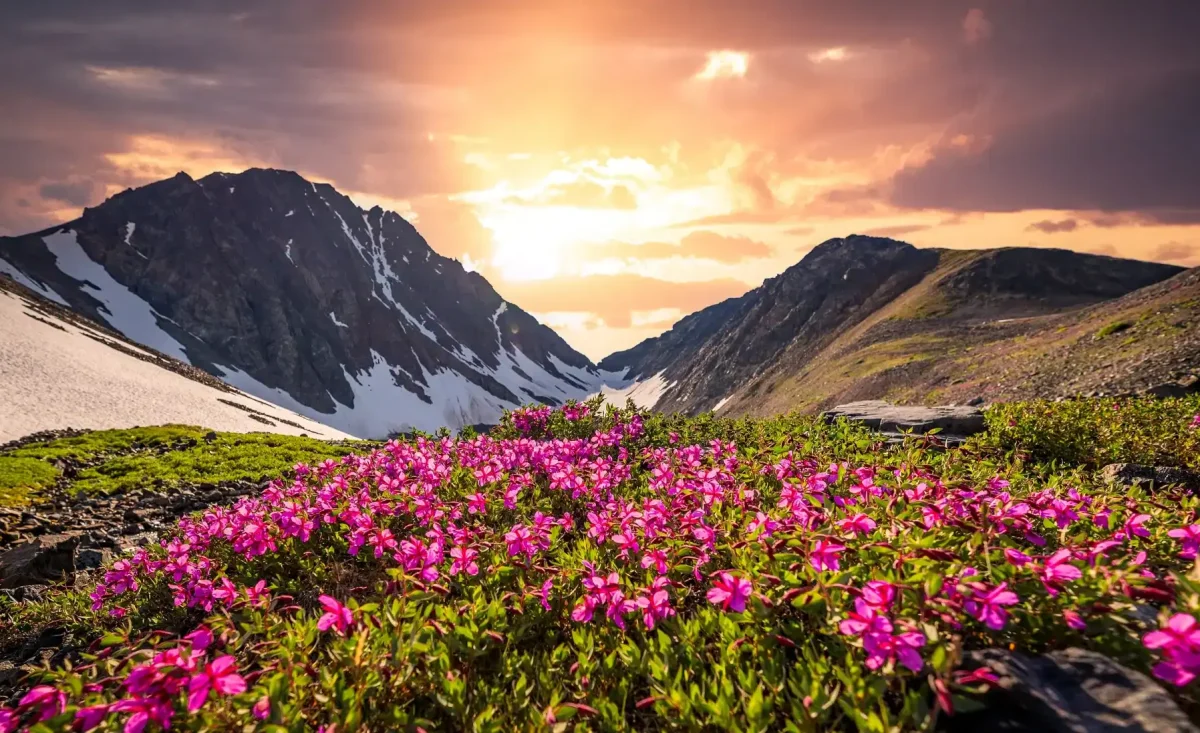 Valley Of Flowers Trek 2,Best Summer Treks in India,Valley Of Flowers Trek