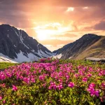 Valley Of Flowers Trek 2,Best Summer Treks in India,Valley Of Flowers Trek