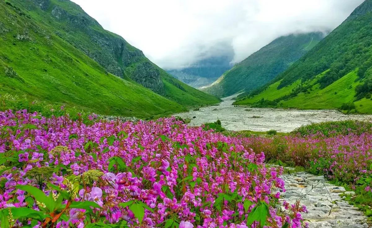 Valley Of Flowers Trek 3