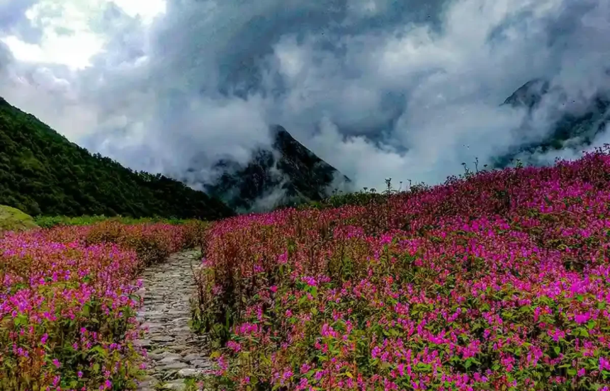 valley of flowers trek 5