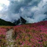 valley of flowers trek 5,Valley of Flowers Trek July
