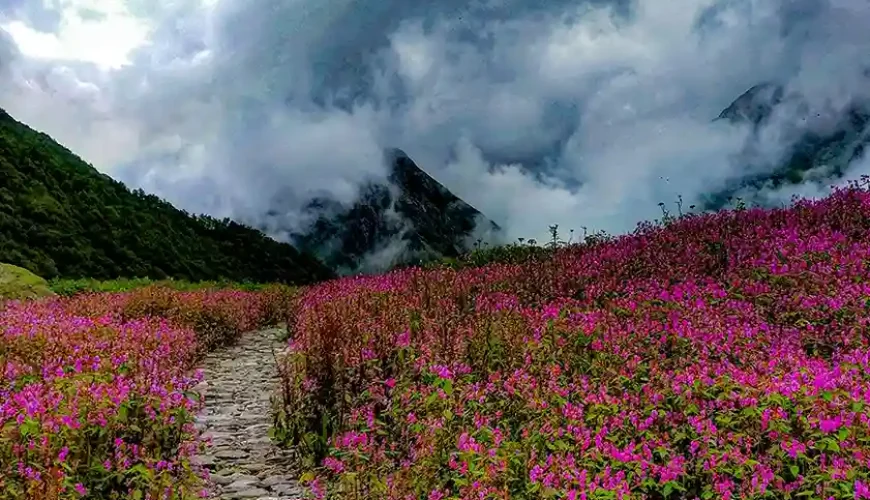 valley of flowers trek 5,Valley of Flowers Trek July
