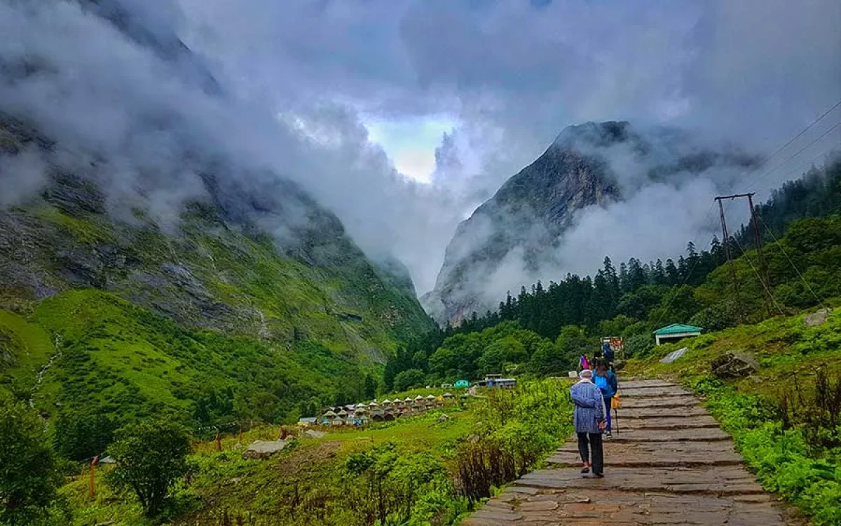 valley of flowers trek 6