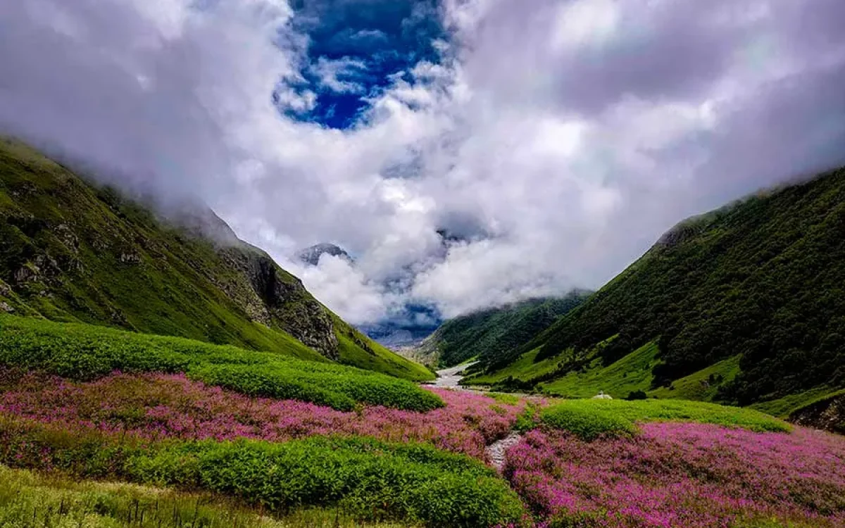 valley of flowers trek 7