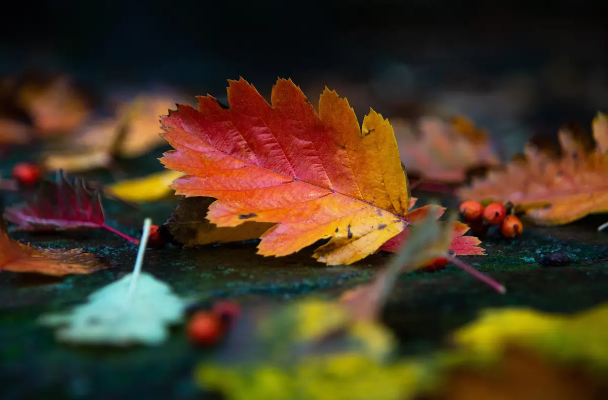 Adjust Your Settings Wisely, Trek Photography Tips