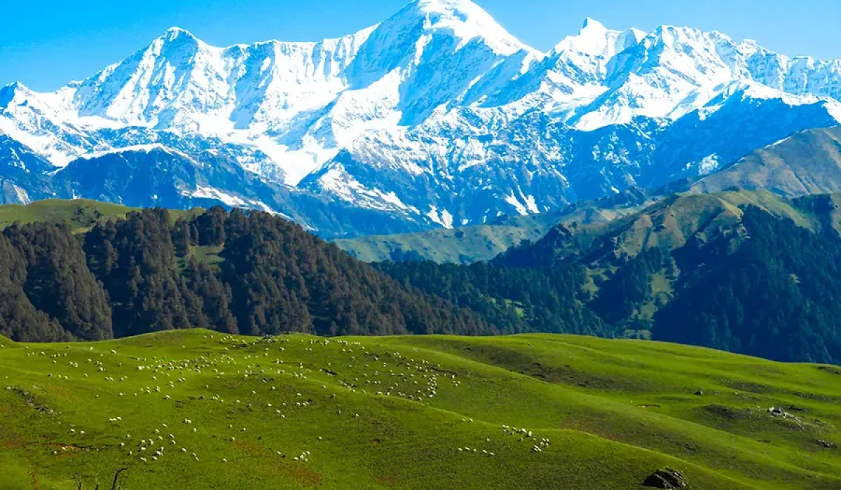 Dayara Bugyal Trek 5
