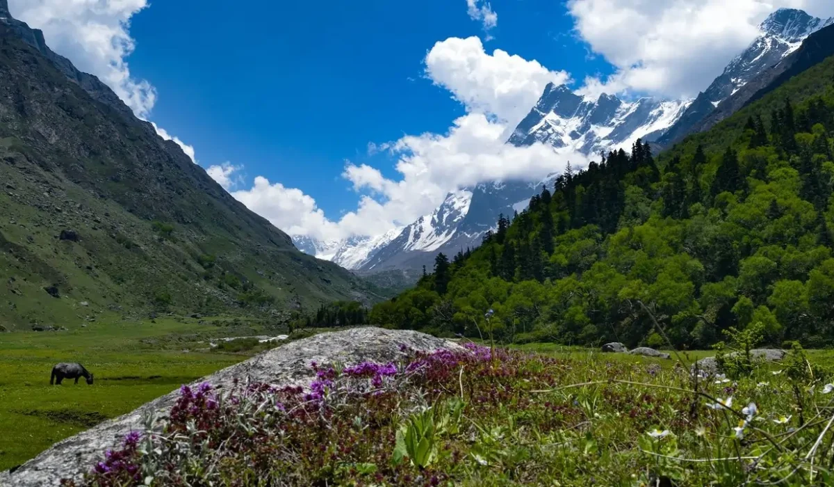 Har Ki Dun Trek in November
