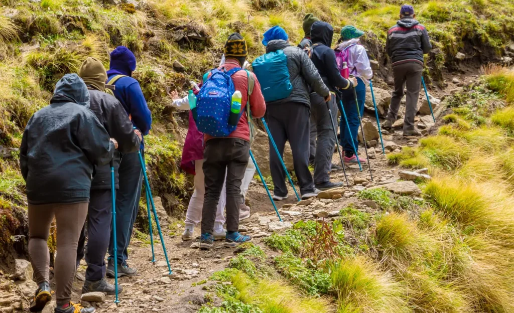Wildlife and Nature, Kuari Pass Trek