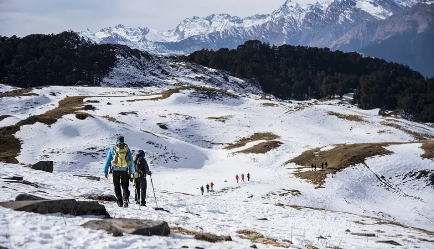 Kuari Pass, Kuari Pass vs Kedarkantha,kuari pass trekking