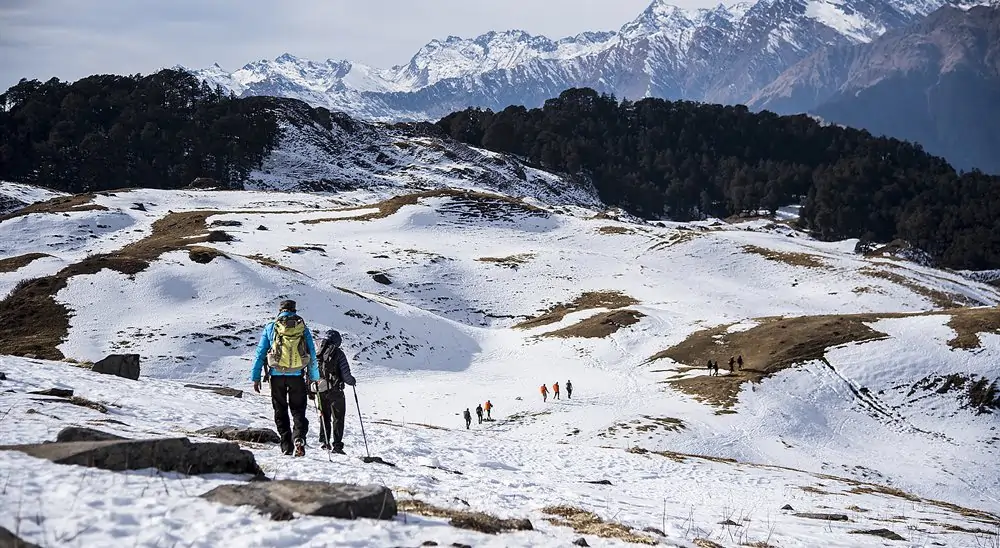 Kuari Pass Trekking: Walking in the Footsteps of Explorers