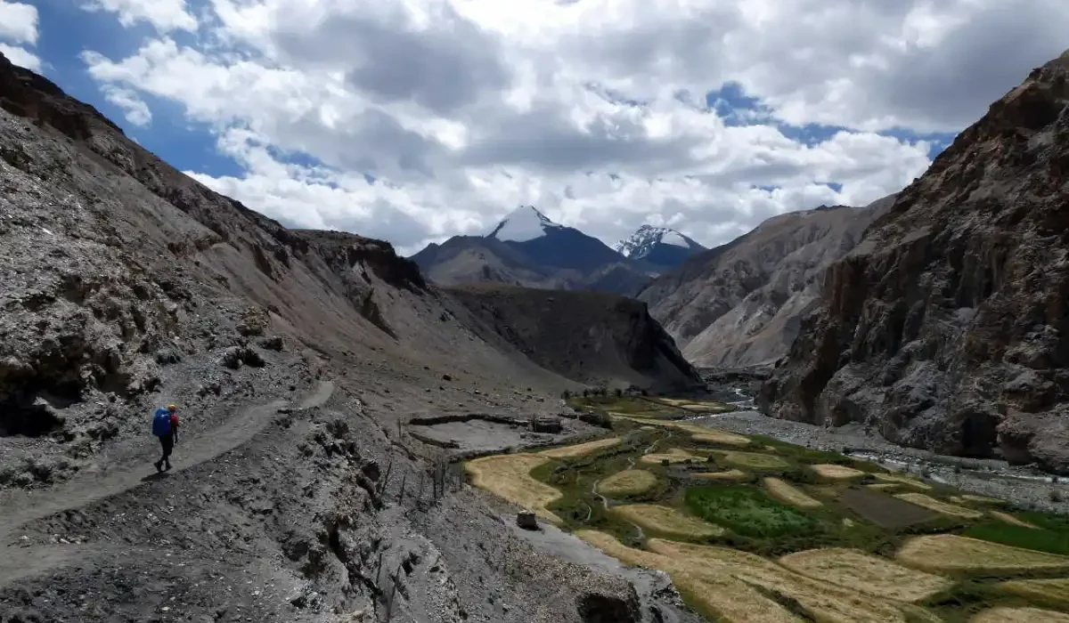 Markha Valley Trek