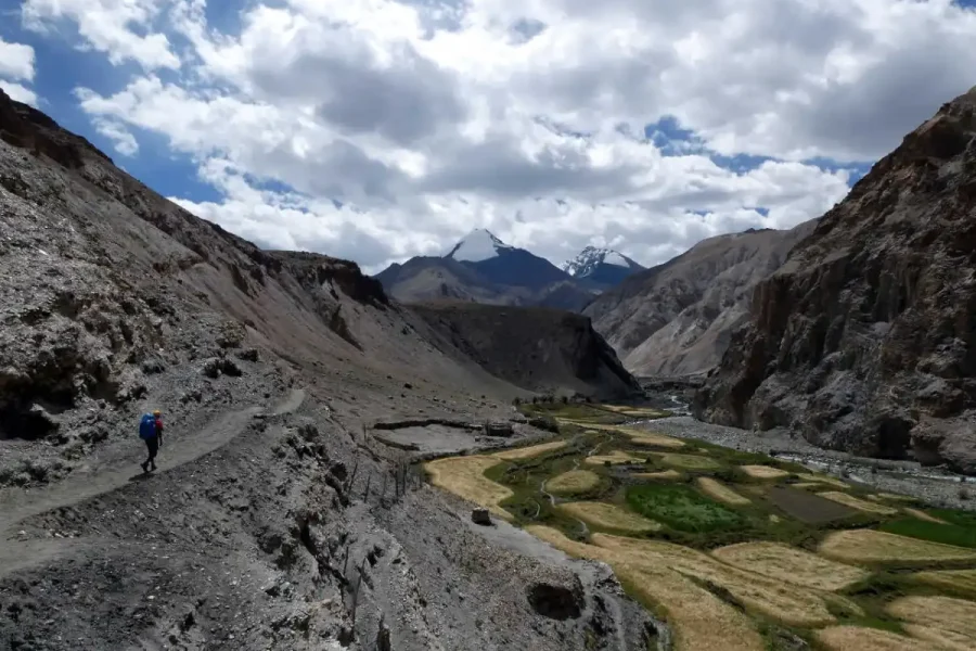 Markha Valley Trek