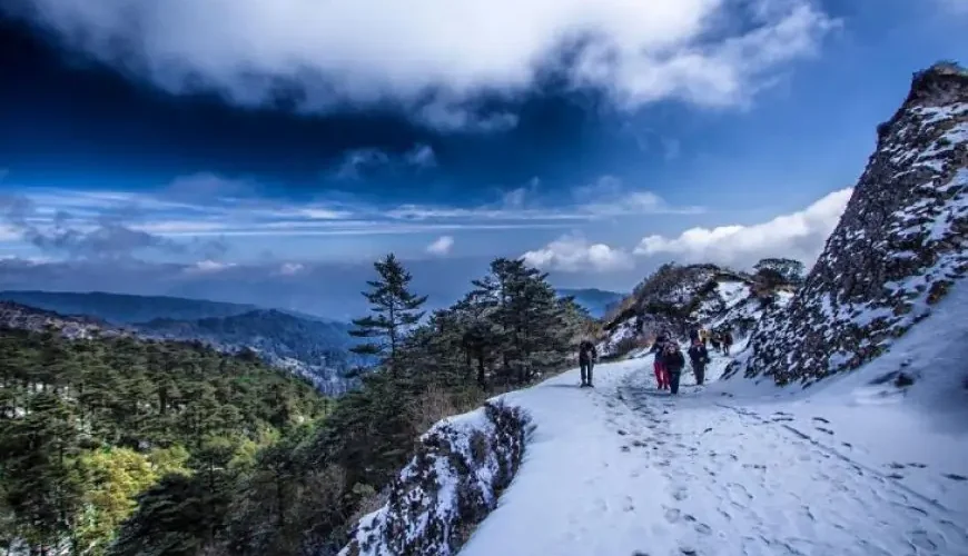 Sandakphu Trek Winter 3,Sandakphu Trek