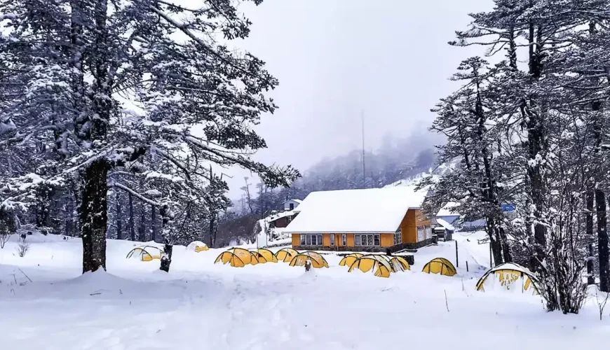 Sandakphu Trek Winter