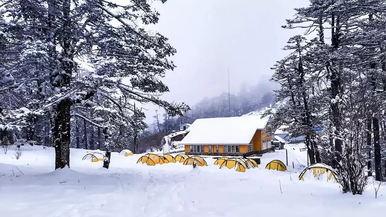 Sandakphu Trek: Walking the Ridge Between India and Nepal
