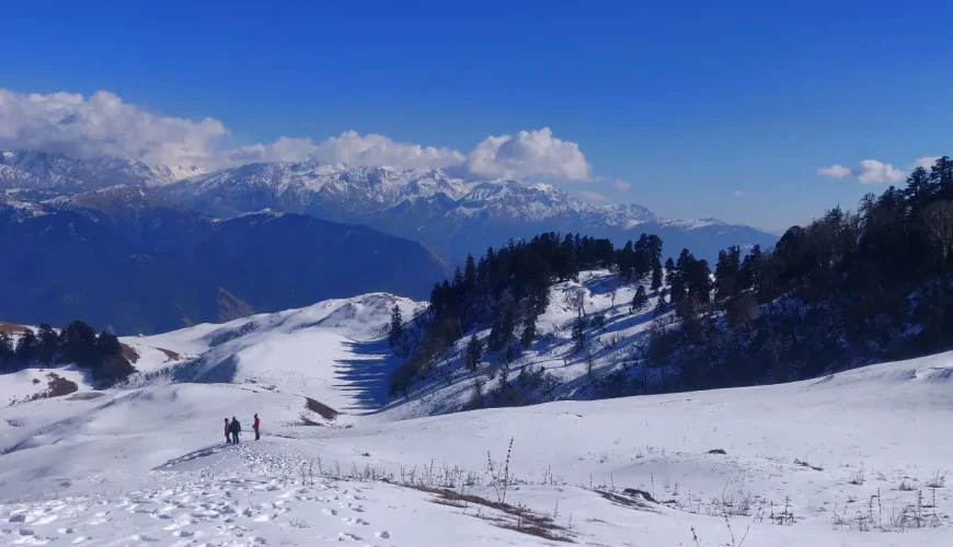Winter Dayara Bugyal Trek 3, Winter Trekking Tips for Beginners,Dayara Bugyal Trek Packages
