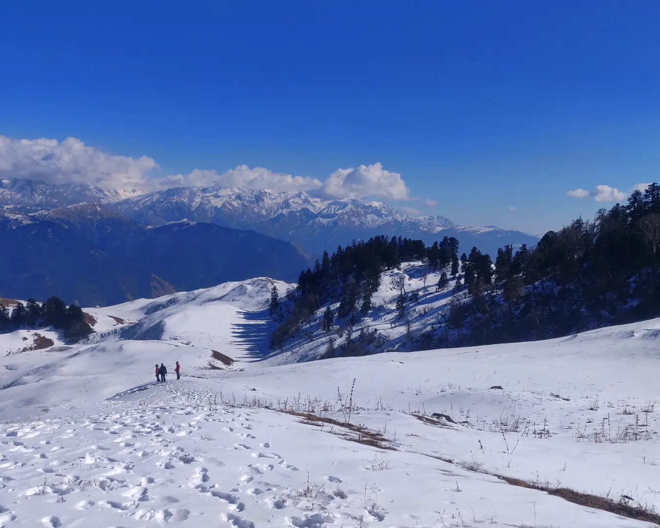Winter Dayara Bugyal Trek 3, Winter Trekking Tips for Beginners,Dayara Bugyal Trek Packages