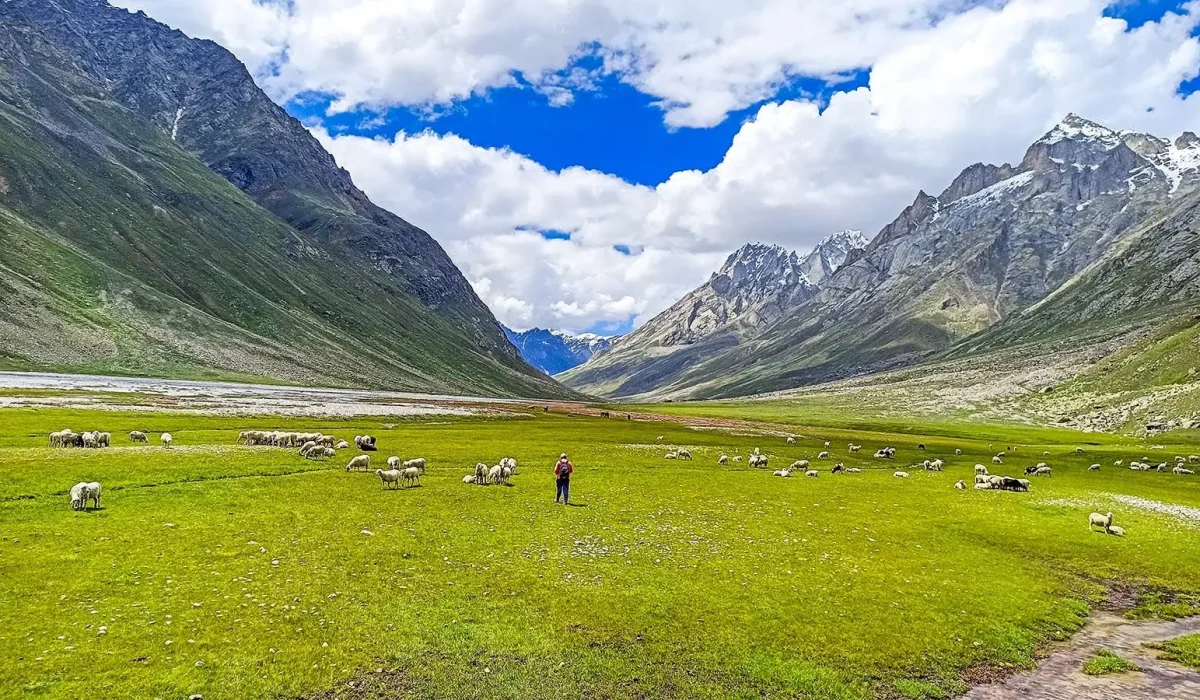 3d302685-27f6-440e-9b1d-673b212cd972_Miyar+Valley_MV_Indiahikes_Akshay_Exploration_july+2021+29