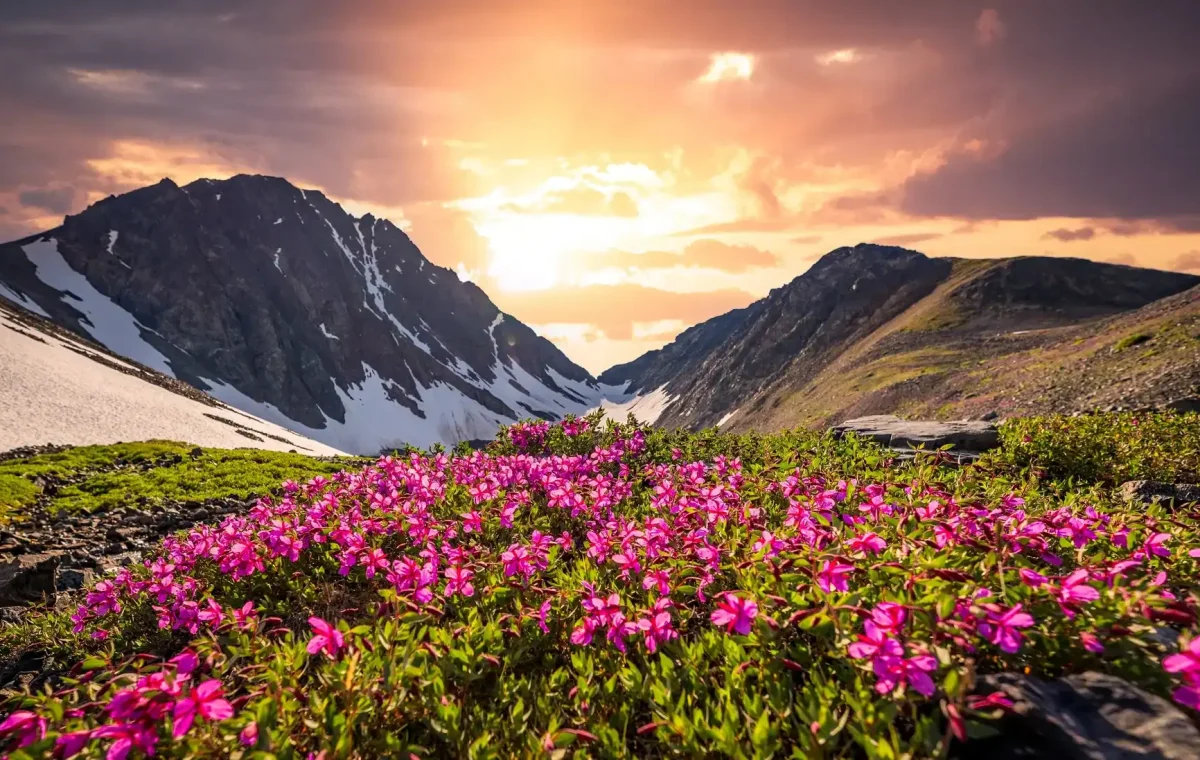 valley of flowers, hampta pass vs valley of flowers