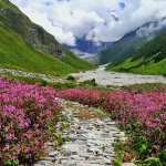 valley of flowers,Flowers Trek Best Time