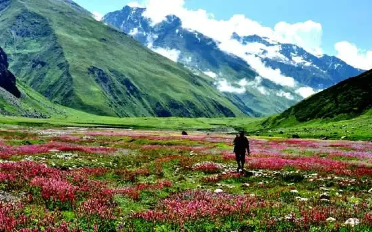 valley flowers