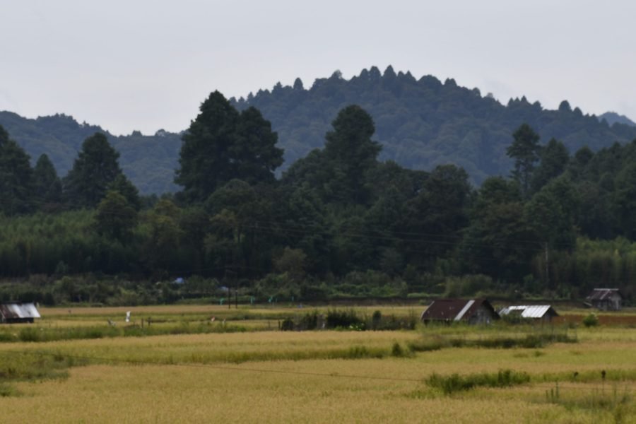 Ziro Music Festival 2026
