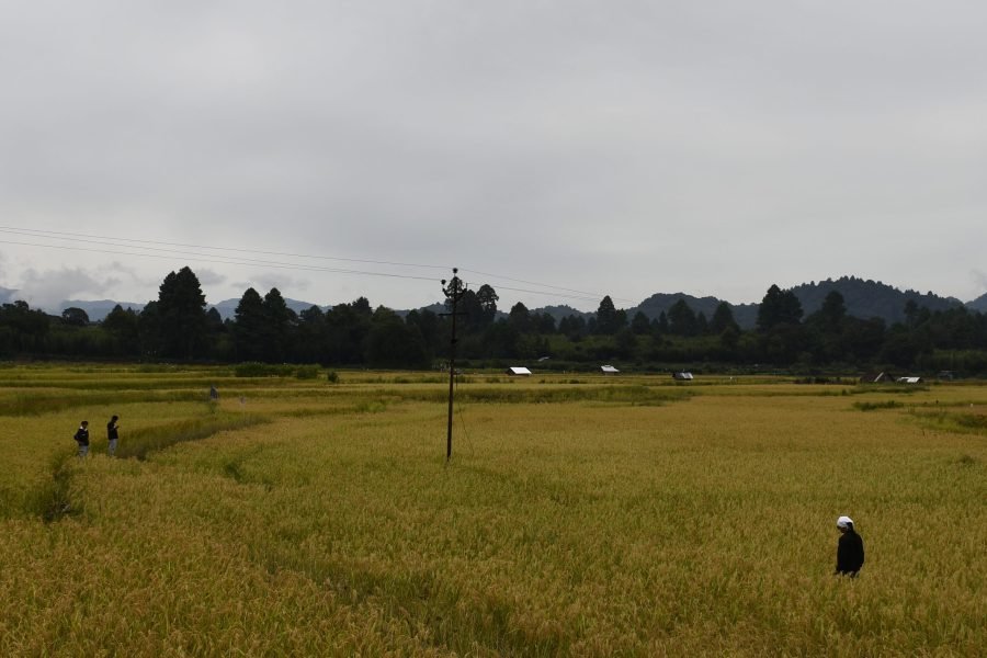 Ziro Music Festival 2026
